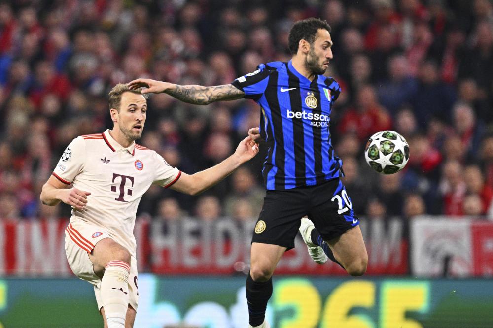 它不仅展示 它不仅展示